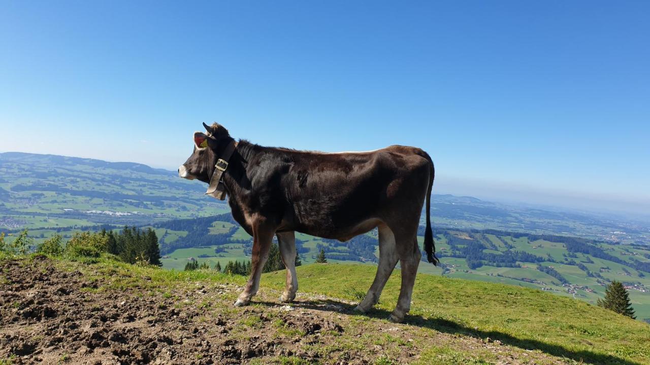 Allgaeu Bergluft Weitnau Екстер'єр фото