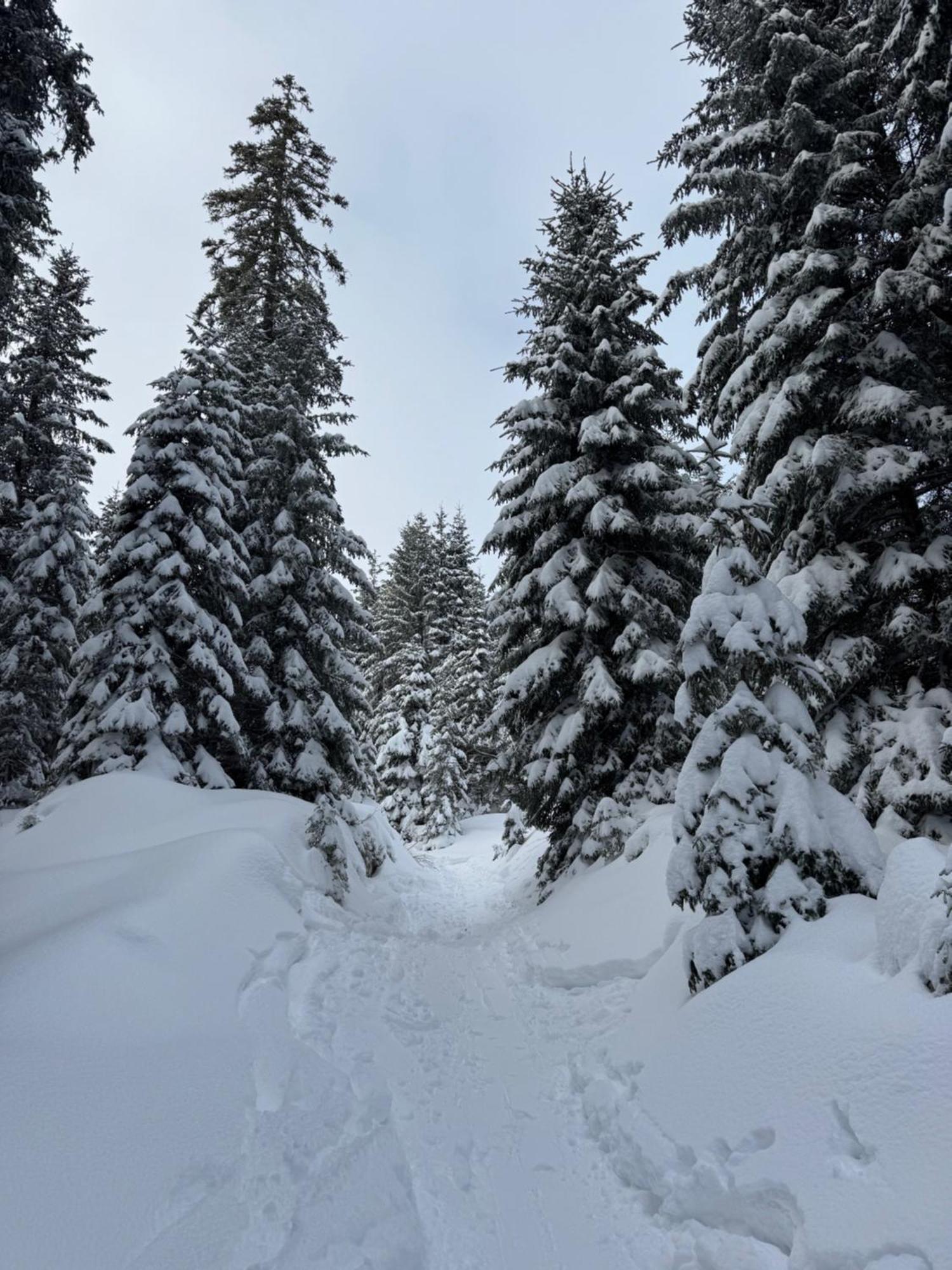 Allgaeu Bergluft Weitnau Екстер'єр фото