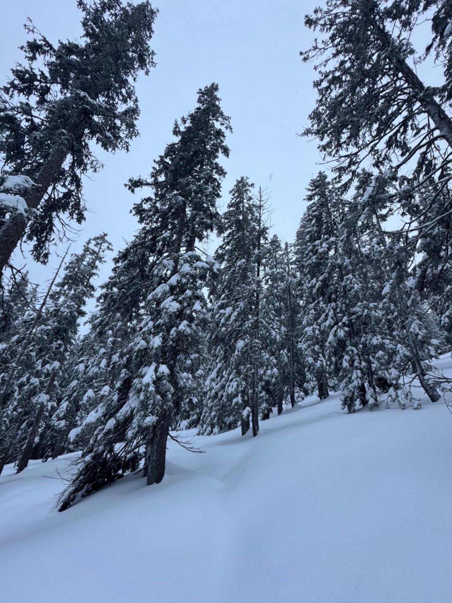 Allgaeu Bergluft Weitnau Екстер'єр фото