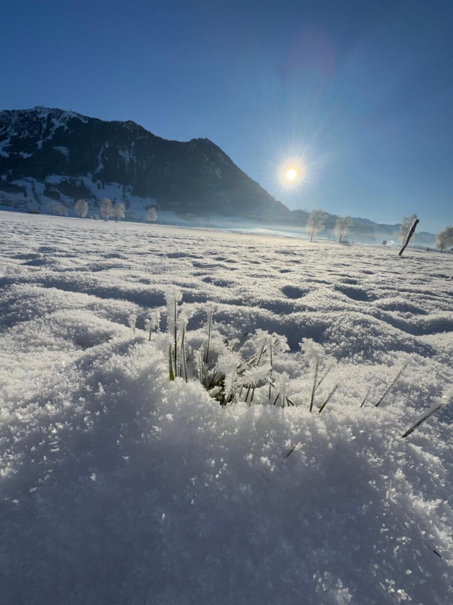 Allgaeu Bergluft Weitnau Екстер'єр фото