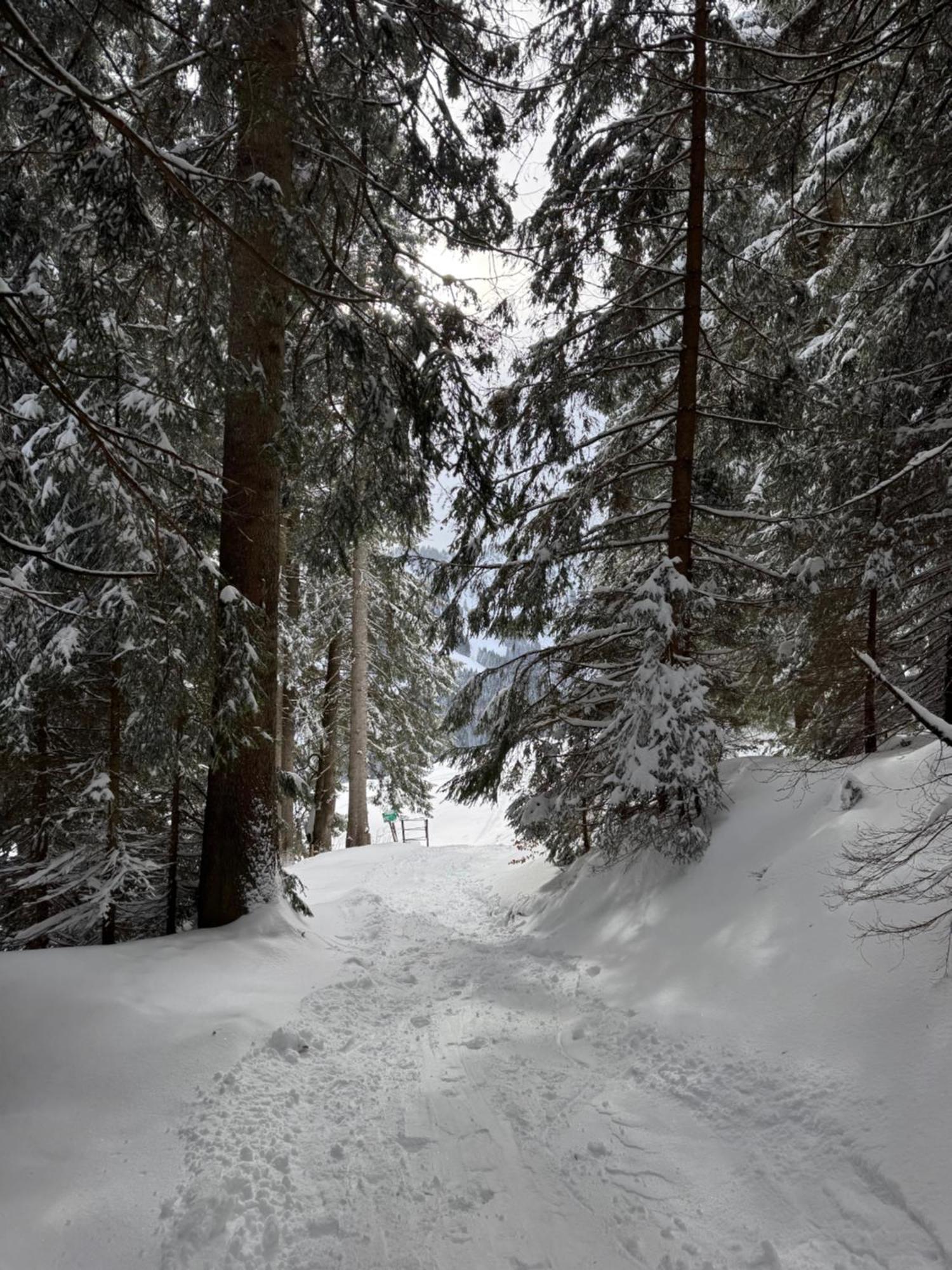 Allgaeu Bergluft Weitnau Екстер'єр фото