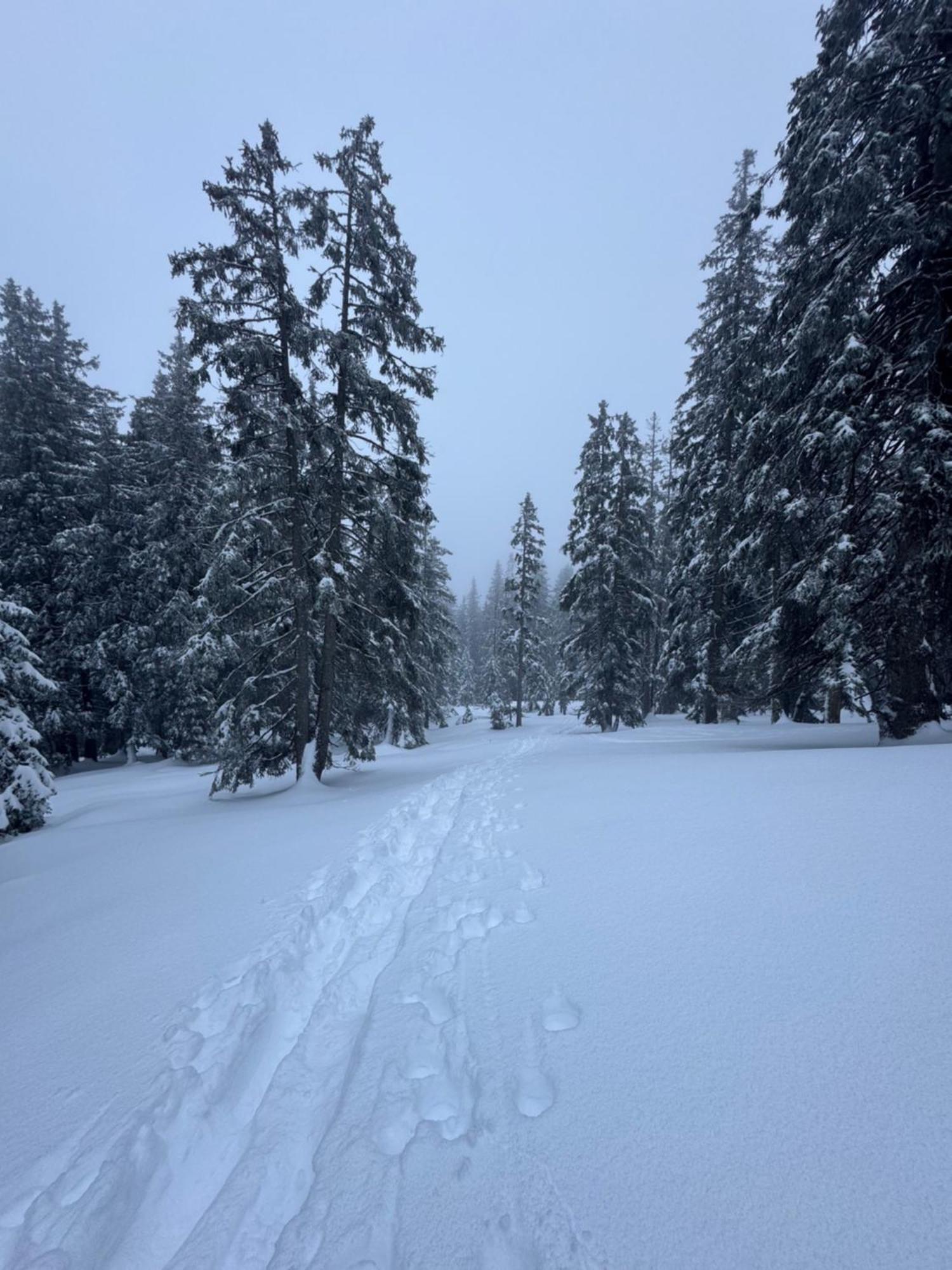 Allgaeu Bergluft Weitnau Екстер'єр фото